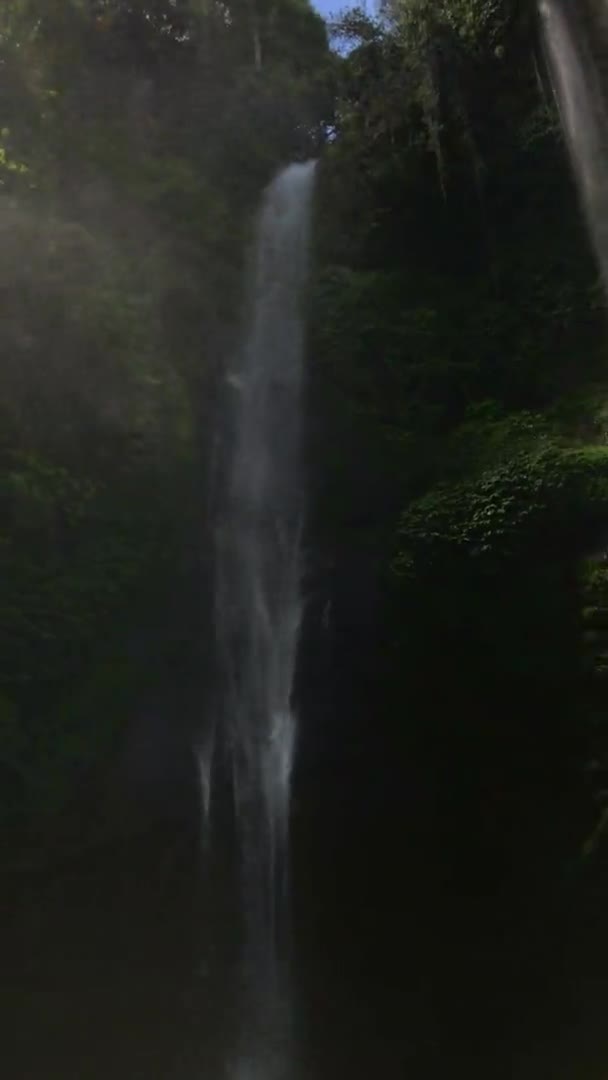 Video verticale. Cascata di Sekumpul, la più grande cascata dell'isola di Bali. Girato su un telefono — Video Stock