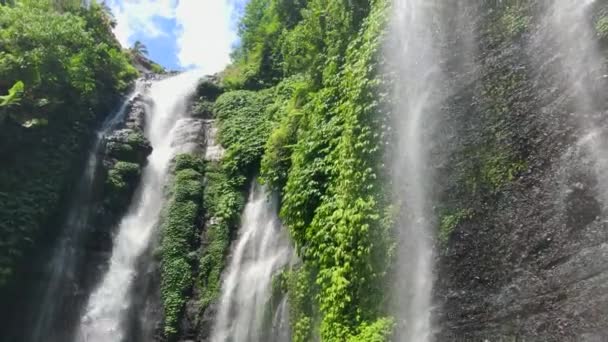 Cachoeira Sekumpul, a maior cachoeira da ilha de Bali. Tiro em um telefone — Vídeo de Stock