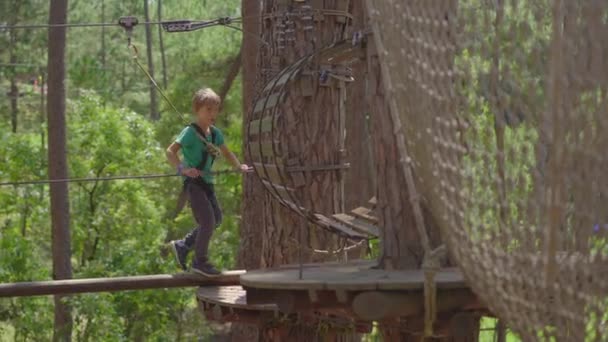 冒険公園の小さな男の子。彼は安全ハーネスをつけている。彼は高いロープの道を登る。ジップラインや障害物のすべての種類で構成される登山活動と屋外遊園地 — ストック動画