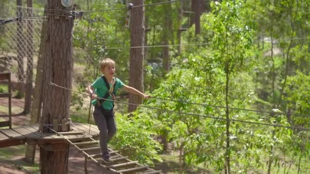 A little boy in an adventure park. He wears a safety harness. He climbs on a high rope trail. Outdoor amusement center with climbing activities consisting of zip lines and all sorts of obstacles — Stock Video