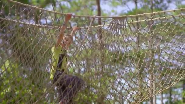 En liten pojke i en äventyrspark. Han har säkerhetssele. Han klättrar på ett rep. Utomhus nöjescentrum med klättring aktiviteter bestående av zip linjer och alla typer av hinder — Stockvideo