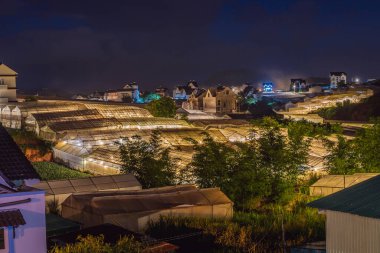 Dalat 'ta çiçek ve sebze ekilen bir vadinin gece manzarası.