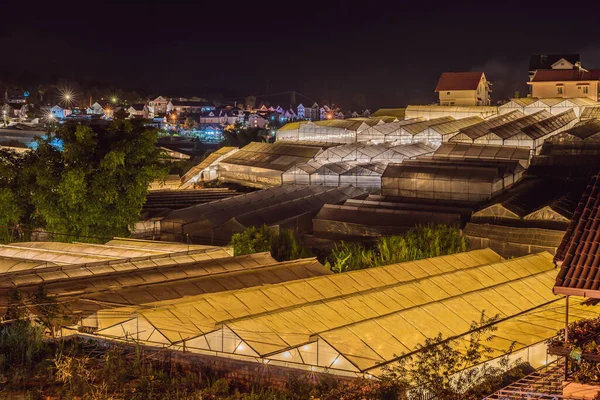 Dalat 'ta çiçek ve sebze ekilen bir vadinin gece manzarası. — Stok fotoğraf