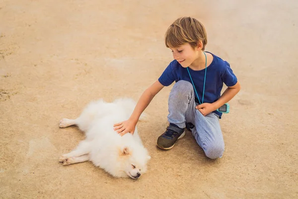 Petit garçon mignon caressant un chien à fourrure — Photo