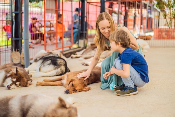 Mère et fils caressant un chien à fourrure — Photo