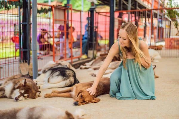 Mujer joven acariciando un lindo perro esponjoso — Foto de Stock