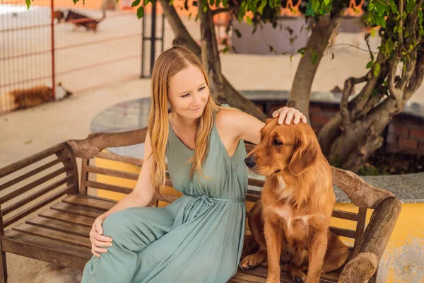 Mujer joven acariciando un lindo perro esponjoso — Foto de Stock