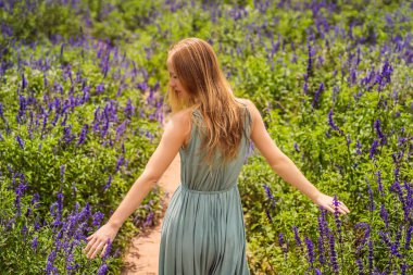 Güzel bir kadın lavanta tarlasında gün batımını seyrediyor.