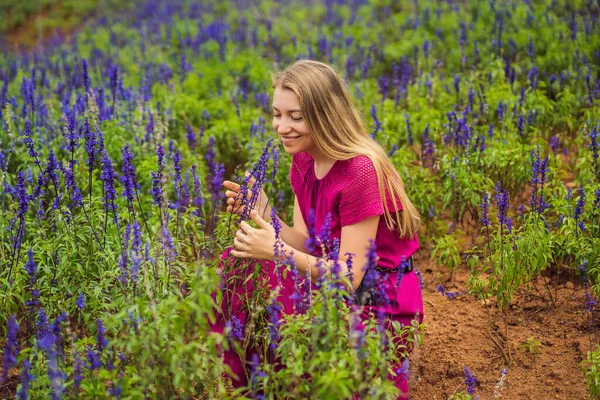 Mulher bonita relaxando no campo de lavanda assistindo no pôr do sol — Fotografia de Stock