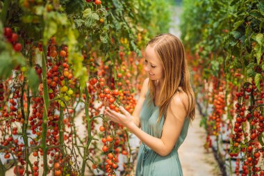Çalılıklarda kadın ve kırmızı kiraz domatesleri