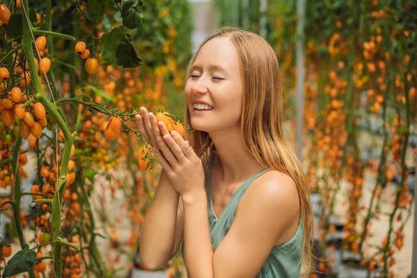 Jovem mulher e tomates cereja amarelos crescem no jardim. Fechar — Fotografia de Stock