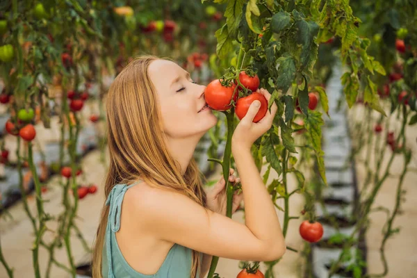 Acercamiento de la mujer sosteniendo tomates en la rama junto a su cara, pensando en comerlo — Foto de Stock