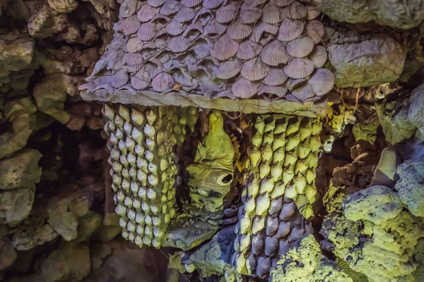 Templo Chua Tu Van hecho de conchas y corales o el laberinto de dragones. Viajar a Vietnam Concepto — Foto de Stock
