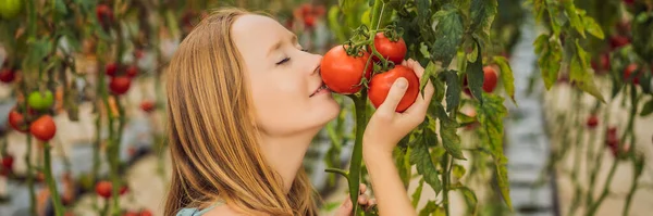Yüzünün yanındaki dalda domatesleri tutan kadına yakın plan, BANNER, BANNER, YEMEK — Stok fotoğraf
