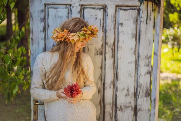 Açık hava yaşam tarzı, sonbahar yapraklarından bir çelenk takan çekici sarışın genç bir kadının yakın portresi. Şık örülü kazak giyiyor. Akçaağaç yaprağı çelengi — Stok fotoğraf