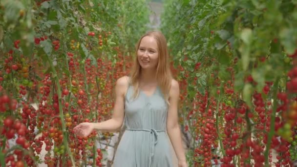 Una hermosa joven visita una eco-granja. Camina por las filas de tomates que crecen en un invernadero. Concepto de productos ecológicos — Vídeo de stock