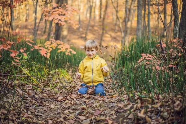 Retrato de pequena criança sorridente no fundo da cabeça do ensolarado parque de outono — Fotografia de Stock
