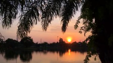 Telefonla vurulmuş. Güneşin palmiye yapraklarının arasından görüldüğü tropik bölgelerde şaşırtıcı günbatımı