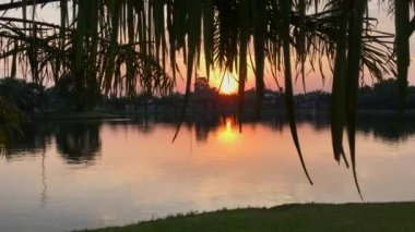 Telefonla vurulmuş. Güneşin palmiye yapraklarının arasından görüldüğü tropik bölgelerde şaşırtıcı günbatımı