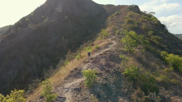 Foto aérea de un trekking familiar en las montañas. Concepto de senderismo — Vídeo de stock