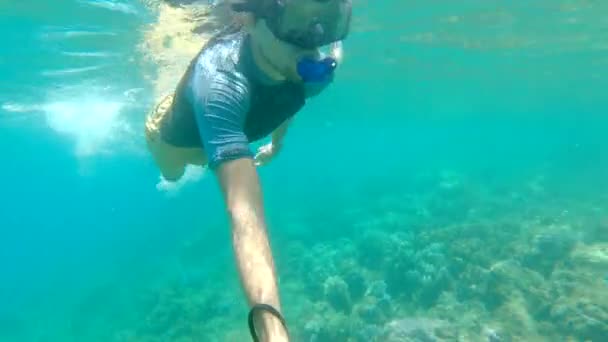 Un hombre buceando en un mar azul claro — Vídeo de stock