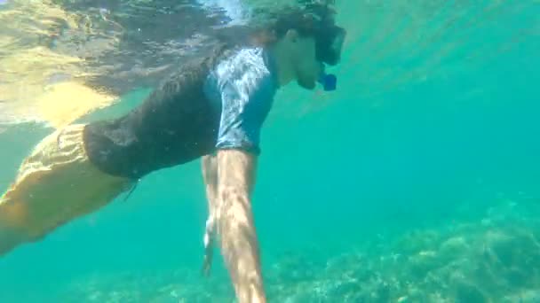 En man som snorklar i ett klart blått hav — Stockvideo