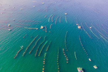 Mavi deniz suyunda bir sürü deniz çiftliği var. Deniz çiftçiliği kavramı