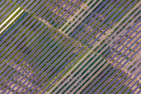 Aerial view of the solar panel in solar farm for green energy