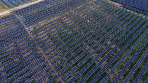 Légi felvétel egy hatalmas naperőműről egy nagy mezőn. Villamosenergia-termelés napenergiából. Zöld energia és kibocsátásmentes koncepció — Stock videók