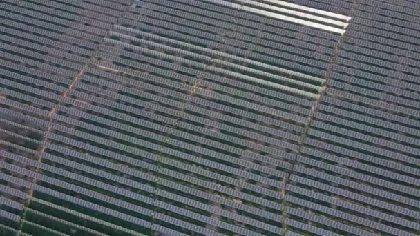 Аэросъемка огромной солнечной электростанции в большом поле. Выработка электроэнергии из солнечной энергии. Зеленая энергия и нулевые выбросы — стоковое видео