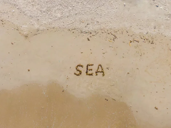 Пляж з написом англійською мовою: море. Листи зроблені водоростями. Морська відпустка після коронавірусу COVID 19 — стокове фото