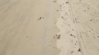 Çöple kaplı güzel kumlu bir sahilde, çoğunlukla plastik bir plajın havadan aşağı manzarası. COVID-19 kısıtlamaları nedeniyle tatil köyleri kapalı, bu yüzden tropikal ülkelerde kimse plajları temizlemiyor.