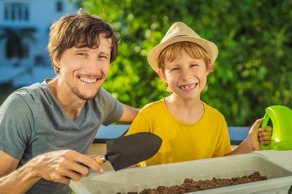 Papà e figlio fanno giardinaggio sul balcone. Sviluppo naturale per i bambini — Foto Stock