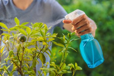 Yakışıklı, şık bir adam, bahçeyle uğraşıyor ve evi suluyor.