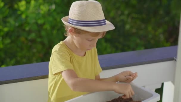 어린 소년은 발코니에 있는 자기 집 정원에 화분에 화초를 심는다. 가정 재배 개념 — 비디오