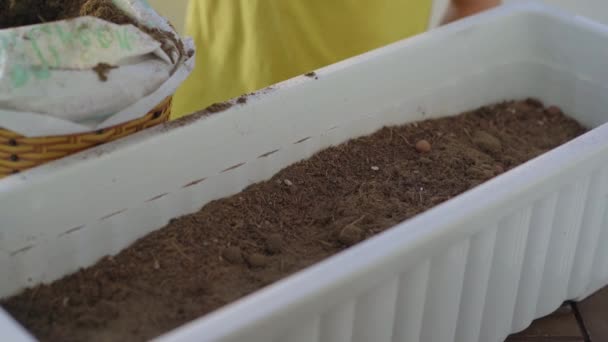 Niño planta las plantas en macetas en su jardín en un balcón. Concepto de agricultura doméstica — Vídeos de Stock