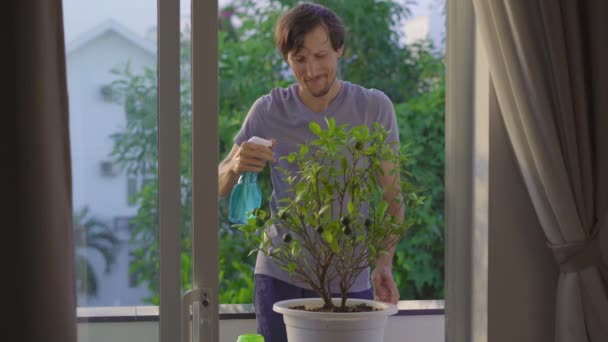 Ein junger Mann kümmert sich auf einem Balkon um einen kleinen Orangenbaum. Konzept der Eigenheimbewirtschaftung — Stockvideo