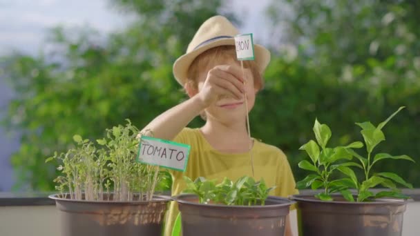 O menino coloca placas com os nomes das plantas em vasos. Conceito de agricultura doméstica — Vídeo de Stock