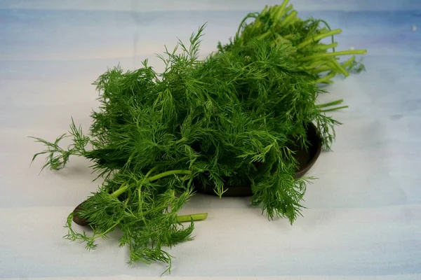 Fresh Green Dill Leaves Blue Background — Stock Photo, Image