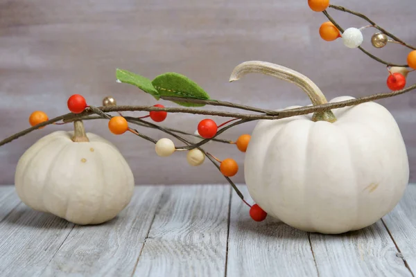 Fall background with Pumpkins