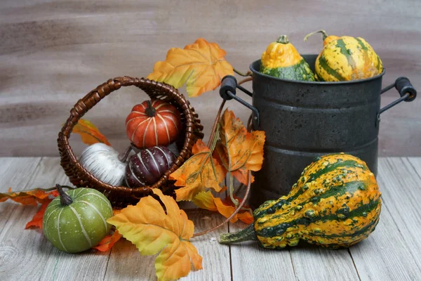 Fall background with Pumpkins