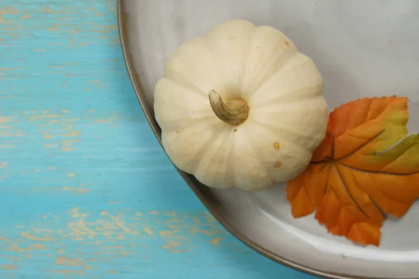 Sonbahar dekorlu ve balkabaklı bir tabak. — Stok fotoğraf