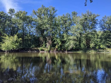 Nehir suyundaki ağaçların yansımasıyla ormanda akan bir nehir..