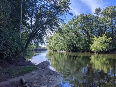 Nehir suyundaki ağaçların yansımasıyla ormanda akan bir nehir..