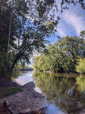 Nehir suyundaki ağaçların yansımasıyla ormanda akan bir nehir..
