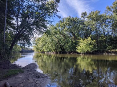 Nehir suyundaki ağaçların yansımasıyla ormanda akan bir nehir..