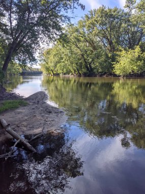 Nehir suyundaki ağaçların yansımasıyla ormanda akan bir nehir..