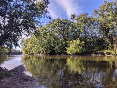 Nehir suyundaki ağaçların yansımasıyla ormanda akan bir nehir..