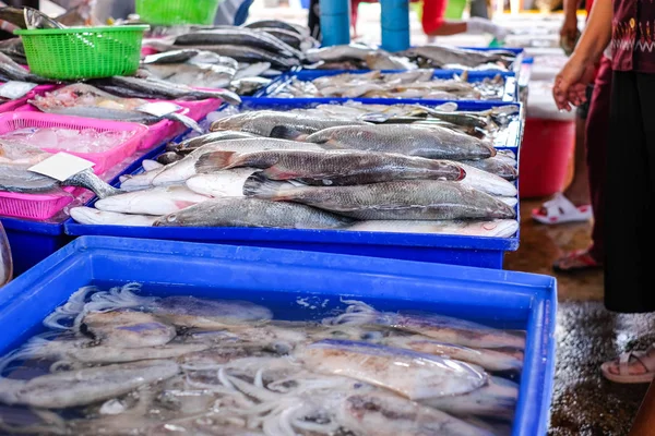 Sabah Pazar taze balık satış