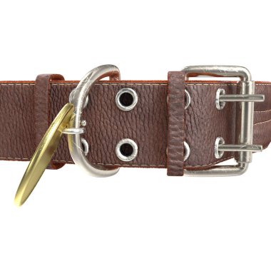 köpek deri yaka izole bir beyaz zemin üzerinde. 3D çizim